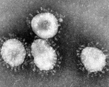 新型コロナウイルスの特徴