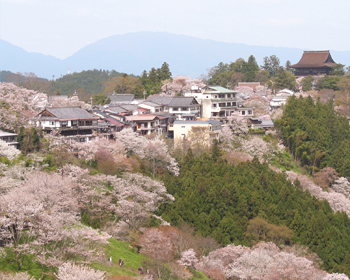 奈良吉野山の風景