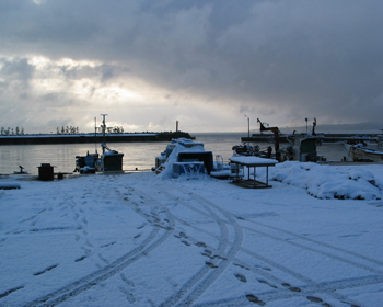 富山 氷見漁港